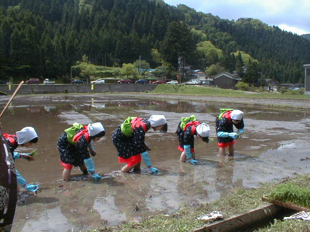 日本酒造りの職人が移住、酒米を育てて地域の未来をサポートする「越前みやま地酒の会」会員を新規募集