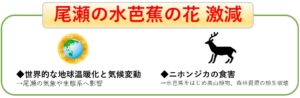 日本酒をよりカジュアルで身近なものに「MIZUBASHO Artist Series-水芭蕉アーティストシリーズ-」9月10日新発売！