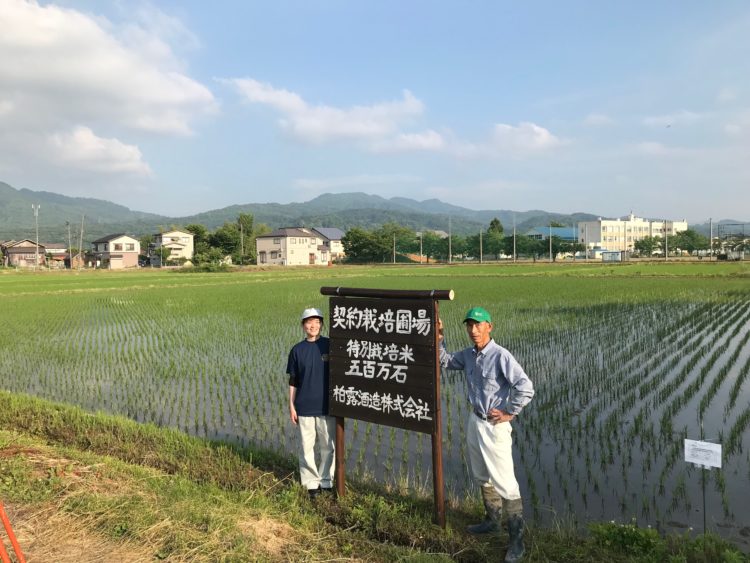 越後長岡「柏露酒造」より、冬季限定商品「にごり酒」と「無濾過生原酒」を11月から新発売