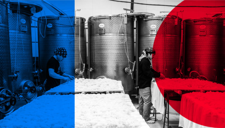 「THE CLASSIC」フランスで日本人が醸す『次なる「世界」のスタンダードを創るSAKE』11月20日予約販売開始（日本酒メーカーWAKAZE）