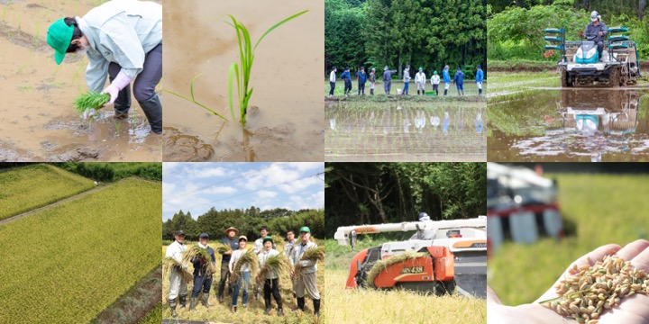 【東日本大震災発生から間もなく10年】「復興に向けて頑張っている大熊町の姿」を日本酒で表す「大熊町日本酒プロジェクト」は2/1(月)からクラウドファンディング開始