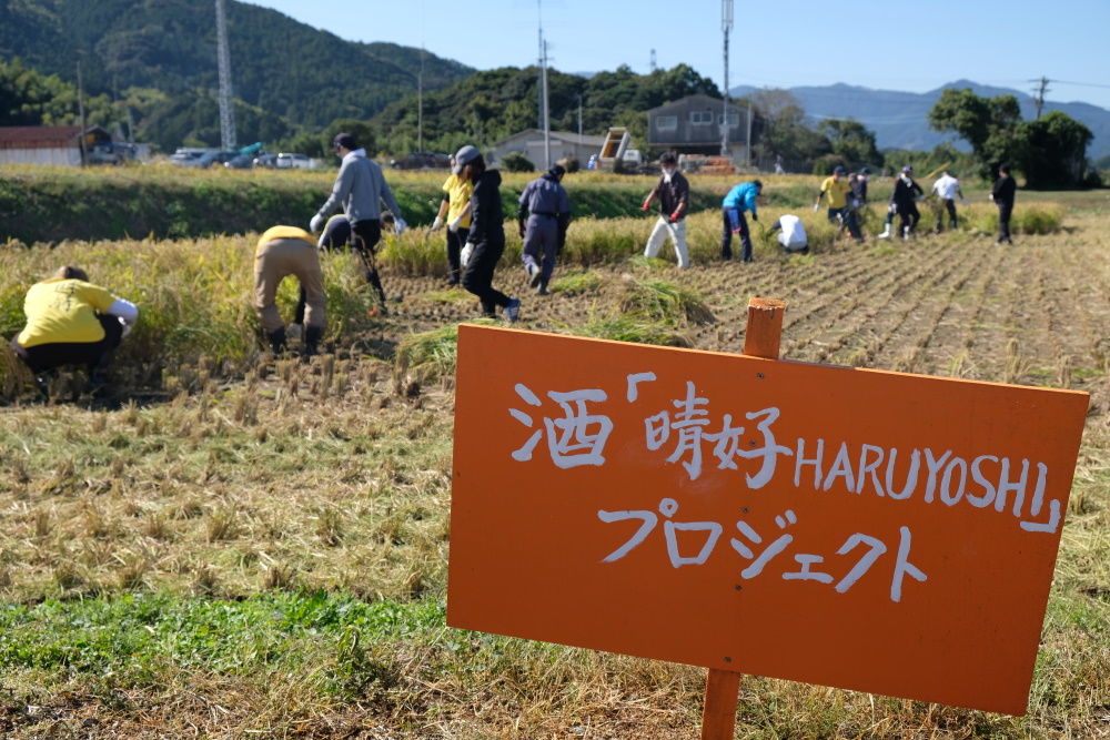 福岡の街が造ったオリジナルの日本酒。「晴好 HARUYOSHI」01、ついに完成！