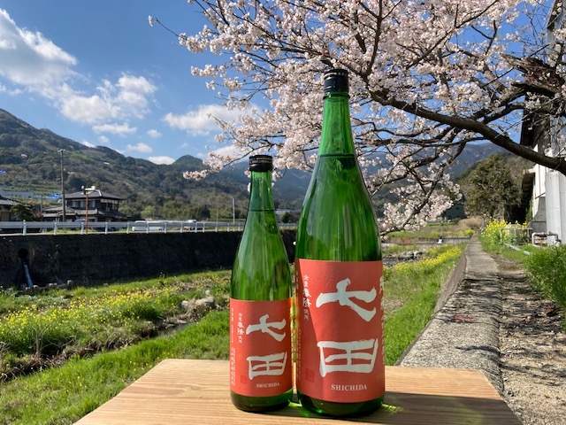 【白ワインのような味わいの日本酒が登場】七田 七割五分磨きシリーズに新しいお米《春陽》が4月7日（水）から蔵出し開始