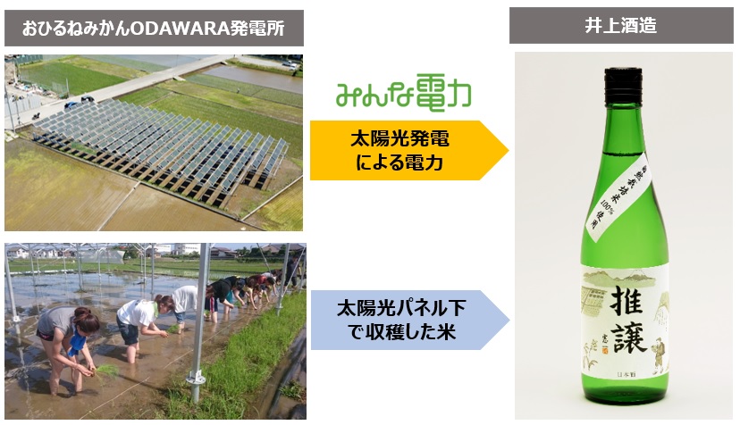 【みんな電力】みんな電力を通じて、耕作放棄地を活用したソーラーシェアリング日本酒「推譲」が誕生！