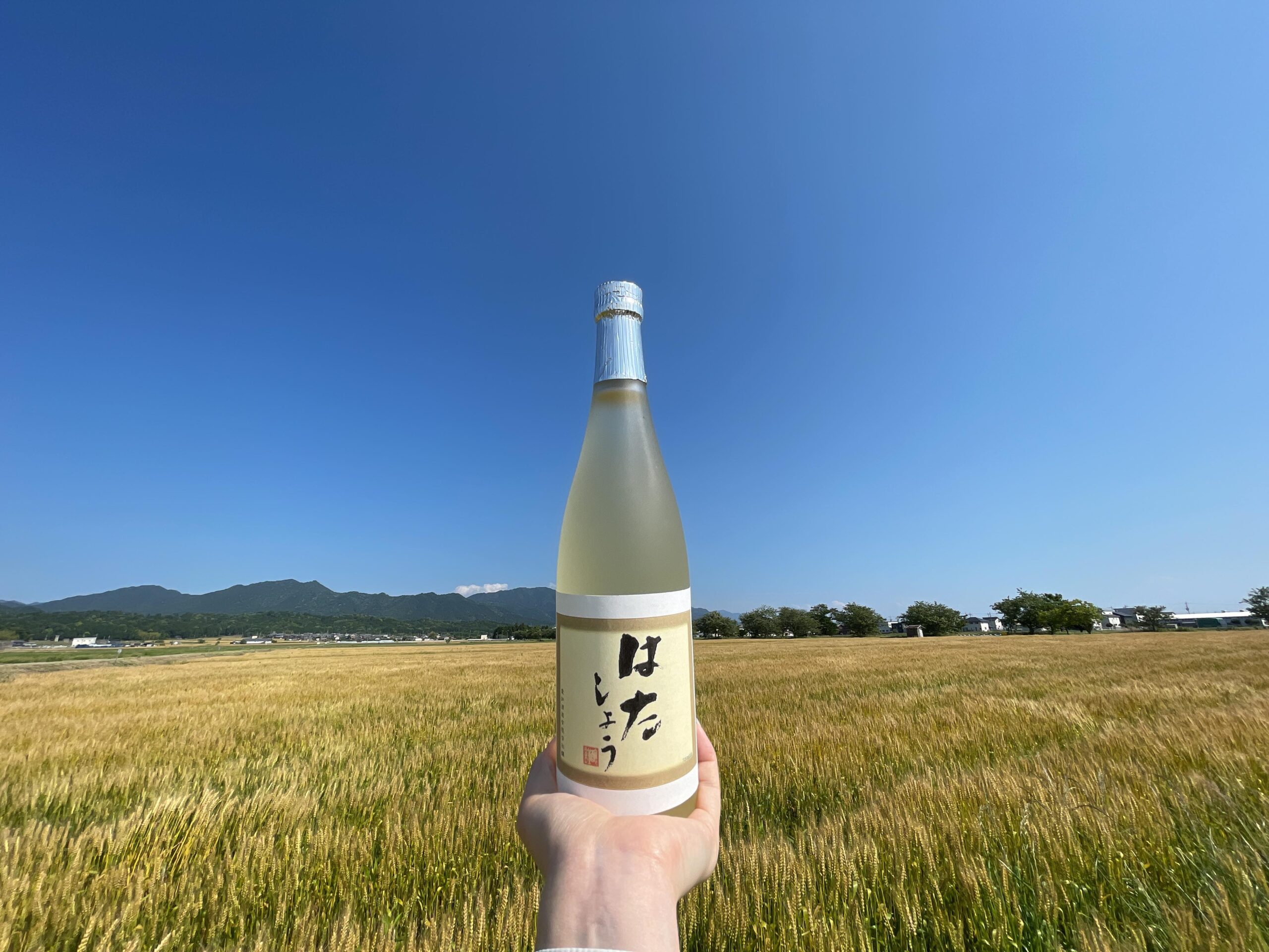 亡き祖父の想いを継いで町を活性化したい！失われた滋賀の地酒・日本酒「はたしょう」復活へのクラウドファンディング開催中。