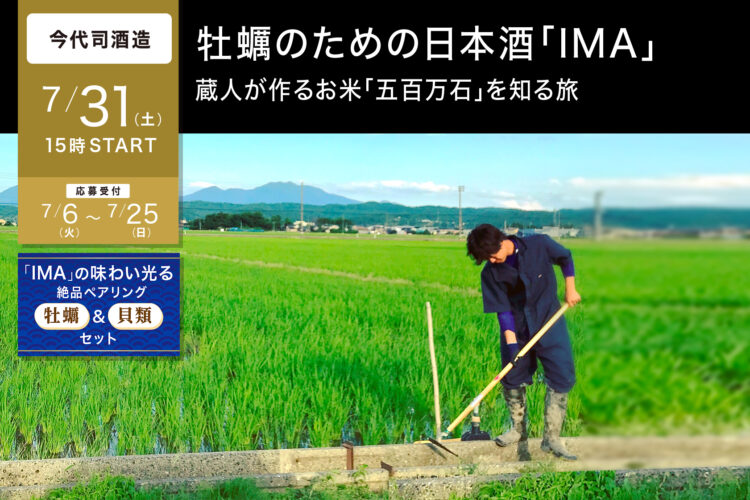 牡蠣のための日本酒「IMA」蔵人が作るお米「五百万石」を知る旅。2021年7月31日（土）15:00〜16:30 酒蔵をオンラインで旅するサイト「TSUGoo」企画。