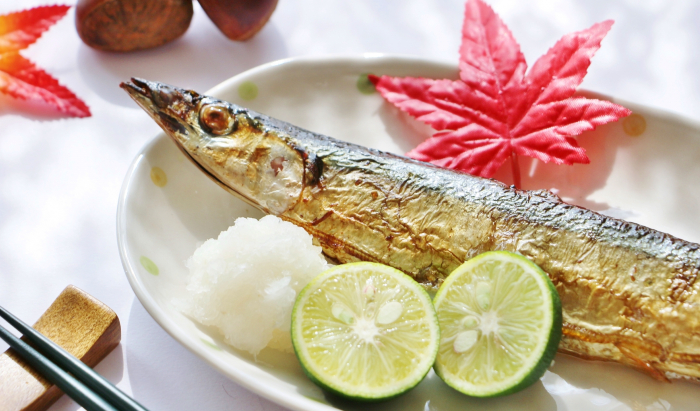 旨味たっぷりな秋の味覚と相性抜群！楯野川 純米大吟醸 源流冷卸（げんりゅうひやおろし）8/20販売開始