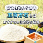 新潟生まれの酒米「五百万石」とは?五百万石で造られた日本酒20選