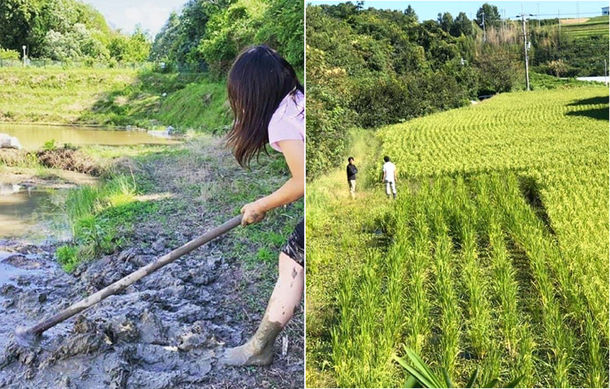 農業・福祉を応援　幻の純米吟醸酒「金の鳩」オンライン試飲会12/18開催