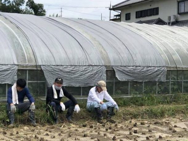 農業・福祉を応援　幻の純米吟醸酒「金の鳩」オンライン試飲会12/18開催