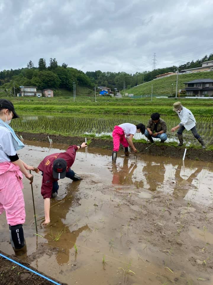 【目標金額達成！】【お酒好きのあなたに】お酒造りに携わる若者を応援したい！！大学オリジナルお酒研究会を応援しようプロジェクト