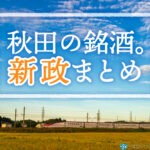 新政 種類