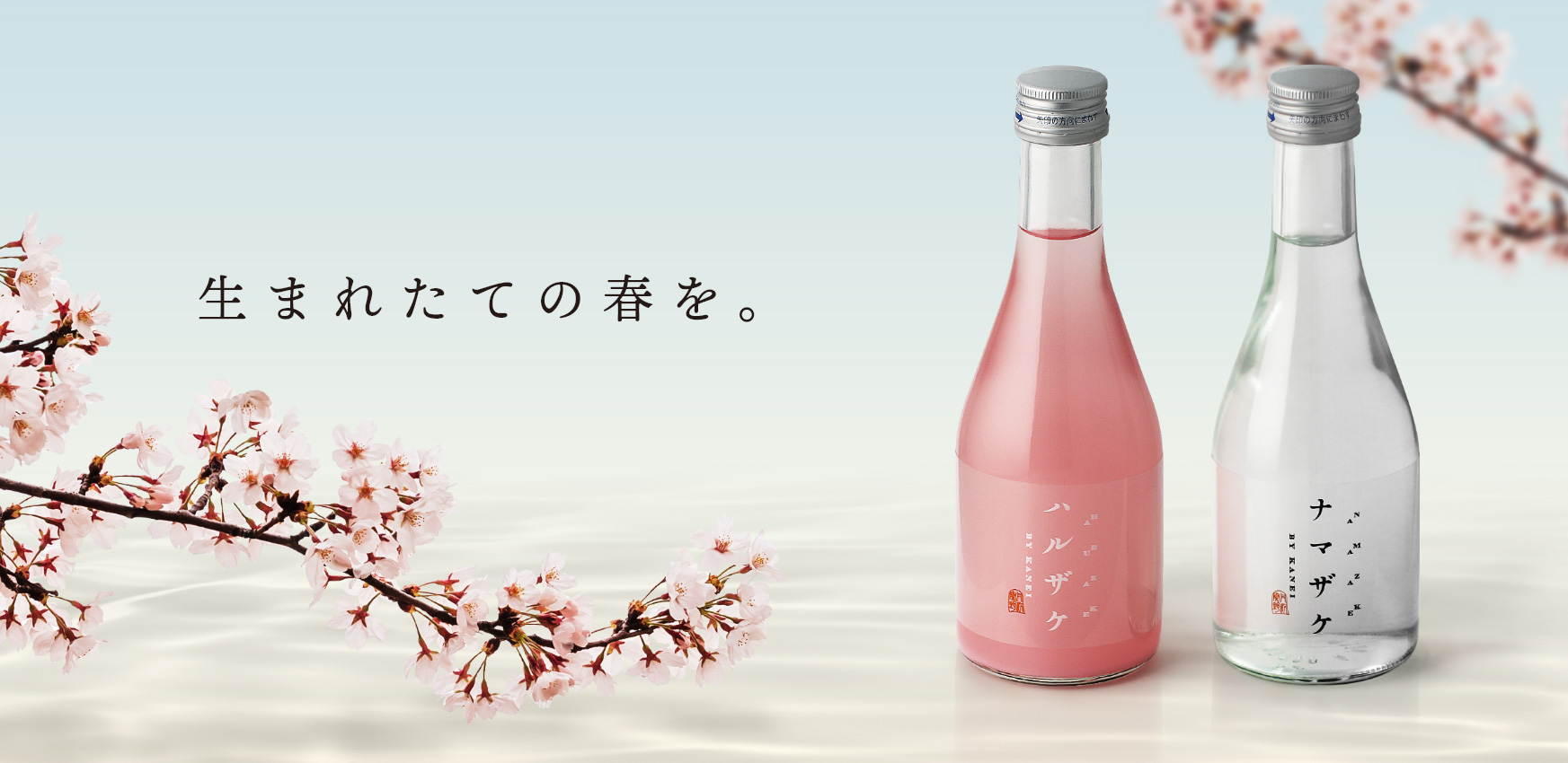 金井酒造店、春の新酒「ハルザケ・ナマザケ」予約販売開始