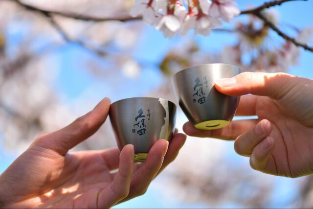 花見 日本酒 桜