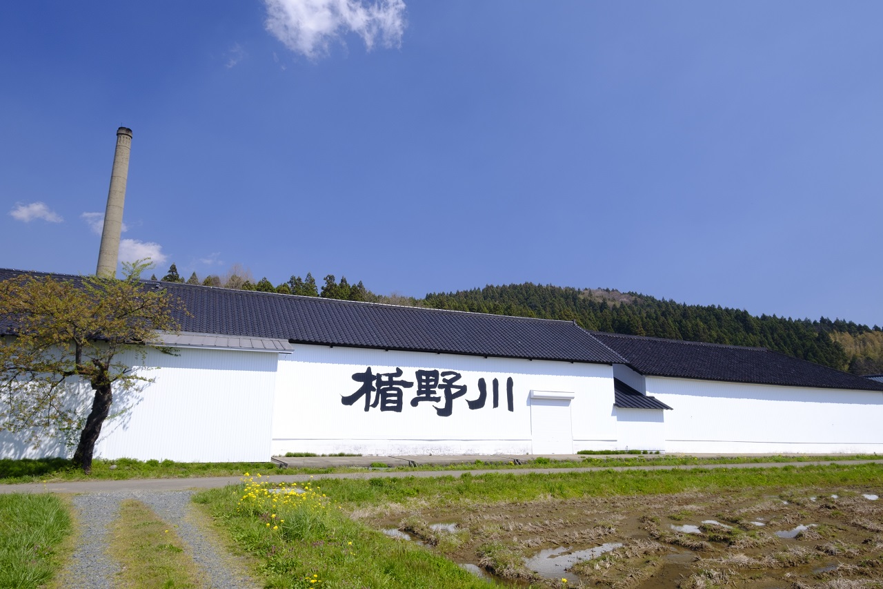 就職や新生活・新年度のお祝いや、おうちで花見のおともに。日本酒「楯野川」春の販売会実施