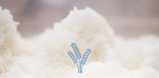 日本酒に使われているお米は普段食べているお米とは違う？酒造好適米について解説！