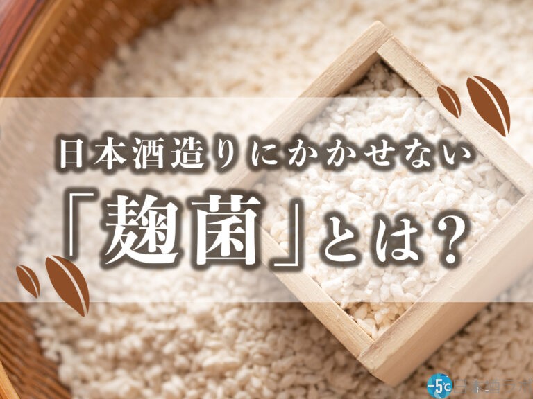 日本酒造りにかかせない「麹菌」とは？麹菌の役割について解説！
