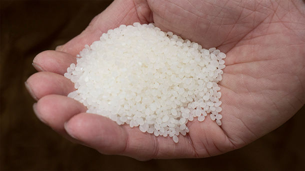 “奇跡のりんご”の木村式自然栽培の米で醸す純米大吟醸「天地(あめつち)のかなで」が誕生