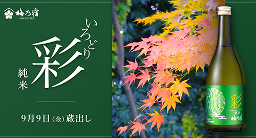 【梅乃宿酒造】【季節限定・9月9日(金)蔵出し】いろどり 純米 緑ラベル