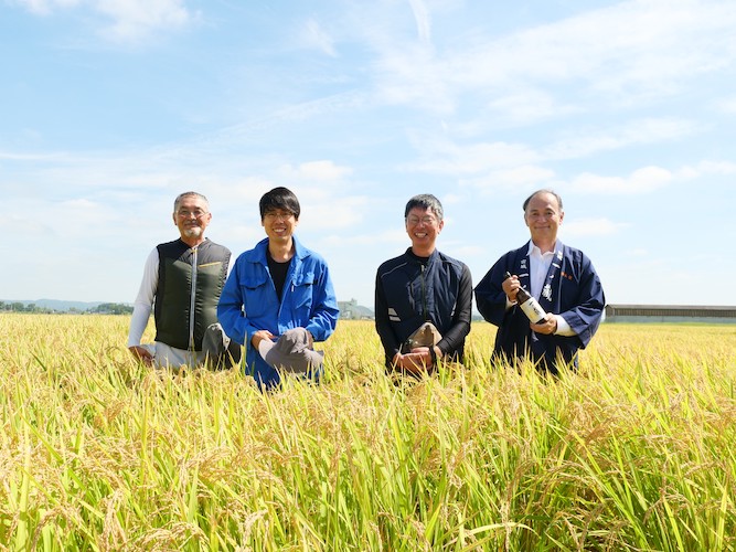 【一ノ蔵】令和5年 冬季限定の新米新酒「一ノ蔵 本醸造しぼりたて生原酒」11月14日蔵元出荷