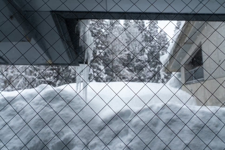 世界有数の豪雪地で雪と共に日本酒を醸す津南醸造。日本酒3本を酒蔵に降り注ぐ雪で覆い包んで贈る郷雪セット。2023年12月の初雪とともに発売開始。