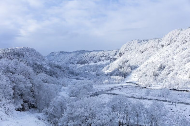 世界有数の豪雪地で雪と共に日本酒を醸す津南醸造。日本酒3本を酒蔵に降り注ぐ雪で覆い包んで贈る郷雪セット。2023年12月の初雪とともに発売開始。