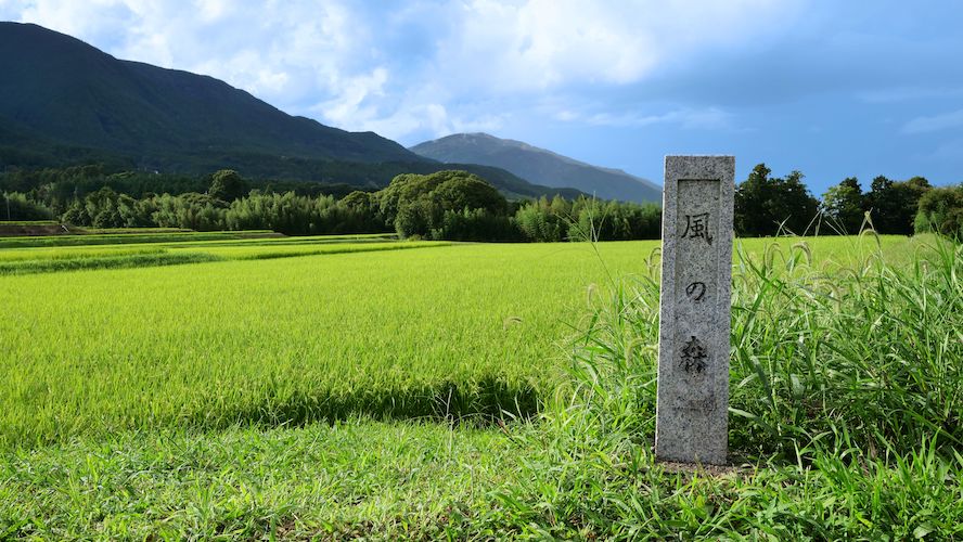 日本酒をもっと自由に楽しもう！奈良県御所市「風の森」と大丸心斎橋店が初のコラボイベントを開催