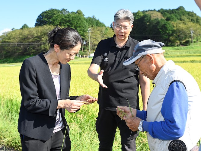 【志摩観光ホテル】2025年志摩観光ホテルオリジナル日本酒「志摩」は、安政4年創業、河武醸造とのコラボレーション。希少な酒米「弓形穂（ゆみなりほ）」で醸す伊勢志摩の純米大吟醸。