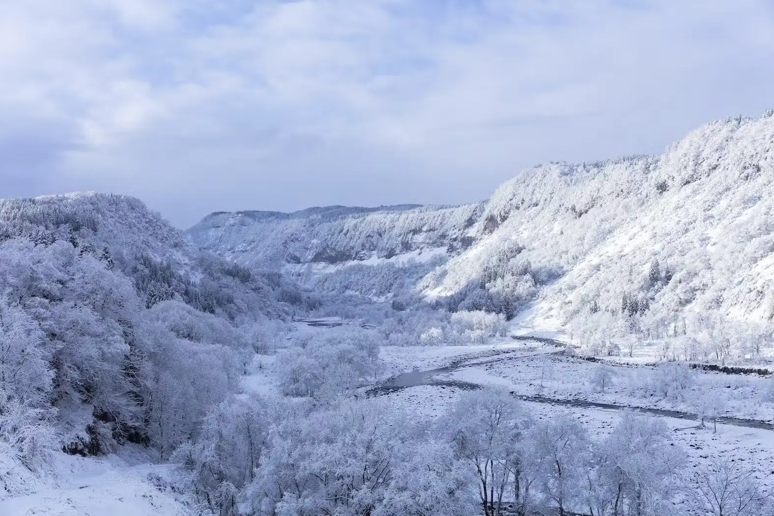 豪雪地である津南から『雪』と、現地で醸した『日本酒』を併せて贈る郷雪セット。2025年2月から発売開始。