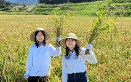 酒米の田植えから仕込みまでこだわり抜いた、オリジナル日本酒純米大吟醸生原酒 『結沁（けっしん）』誕生