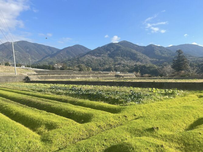 豊かな自然で溢れる福智町