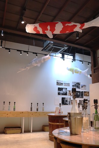 酒蔵を泳ぐ!? 今代司酒造 日本酒「錦鯉」オリジナルこいのぼりを直売店内に掲揚中!
