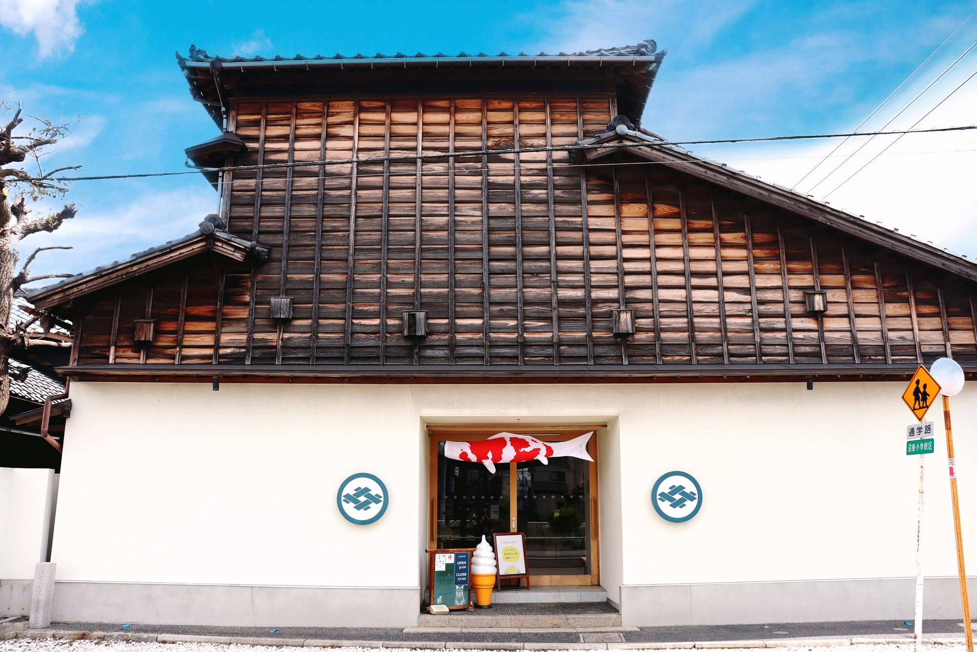 酒蔵を泳ぐ!? 今代司酒造 日本酒「錦鯉」オリジナルこいのぼりを直売店内に掲揚中!