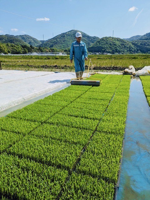 【京都】裏千家十六代家元銘々「春秋萬歳 さらさらきらり」待望の第二弾が発売 