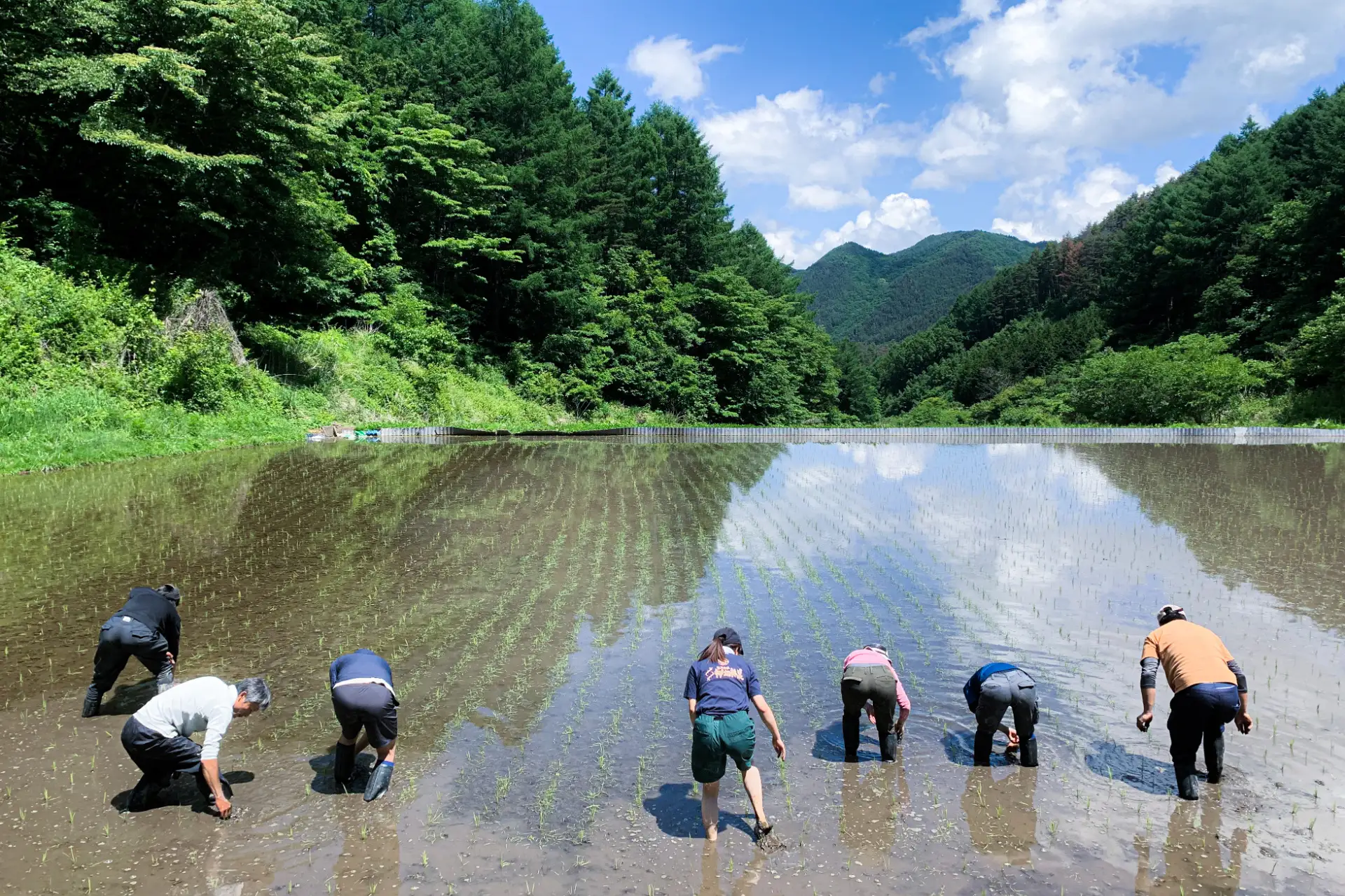 木こりからあなたへ。山へ誘う日本酒「山瑞」数量限定の純米大吟醸生酒や熟成酒も