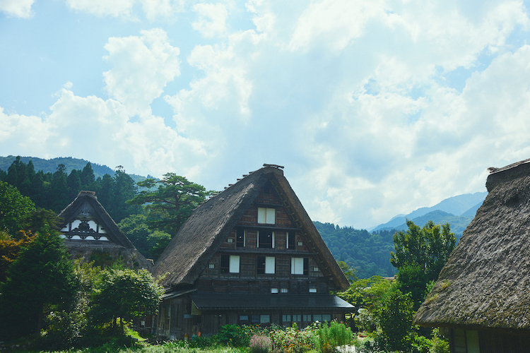 世界遺産・白川村と渡辺酒造店の『酒蔵建築プロジェクト』がnoteを開設白川村の風景を守り続けるため、酒蔵を新たに創る挑戦を伝えたい