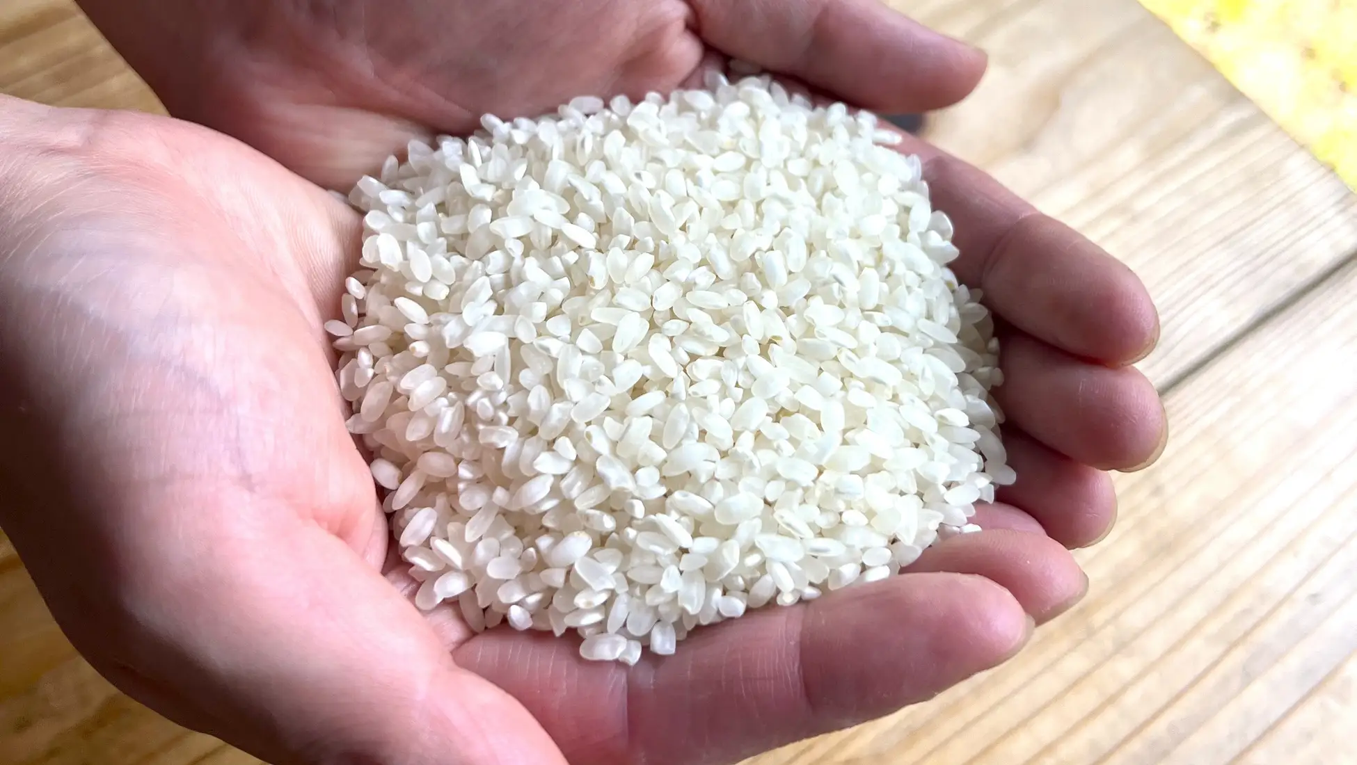 田んぼごとの味わいの違いを楽しむ次世代の日本酒「YOGANSUの酒 」。広島県三原市の「よがんす白竜」が、新酒（VT2024）4種類を7/19(土)より発売開始。