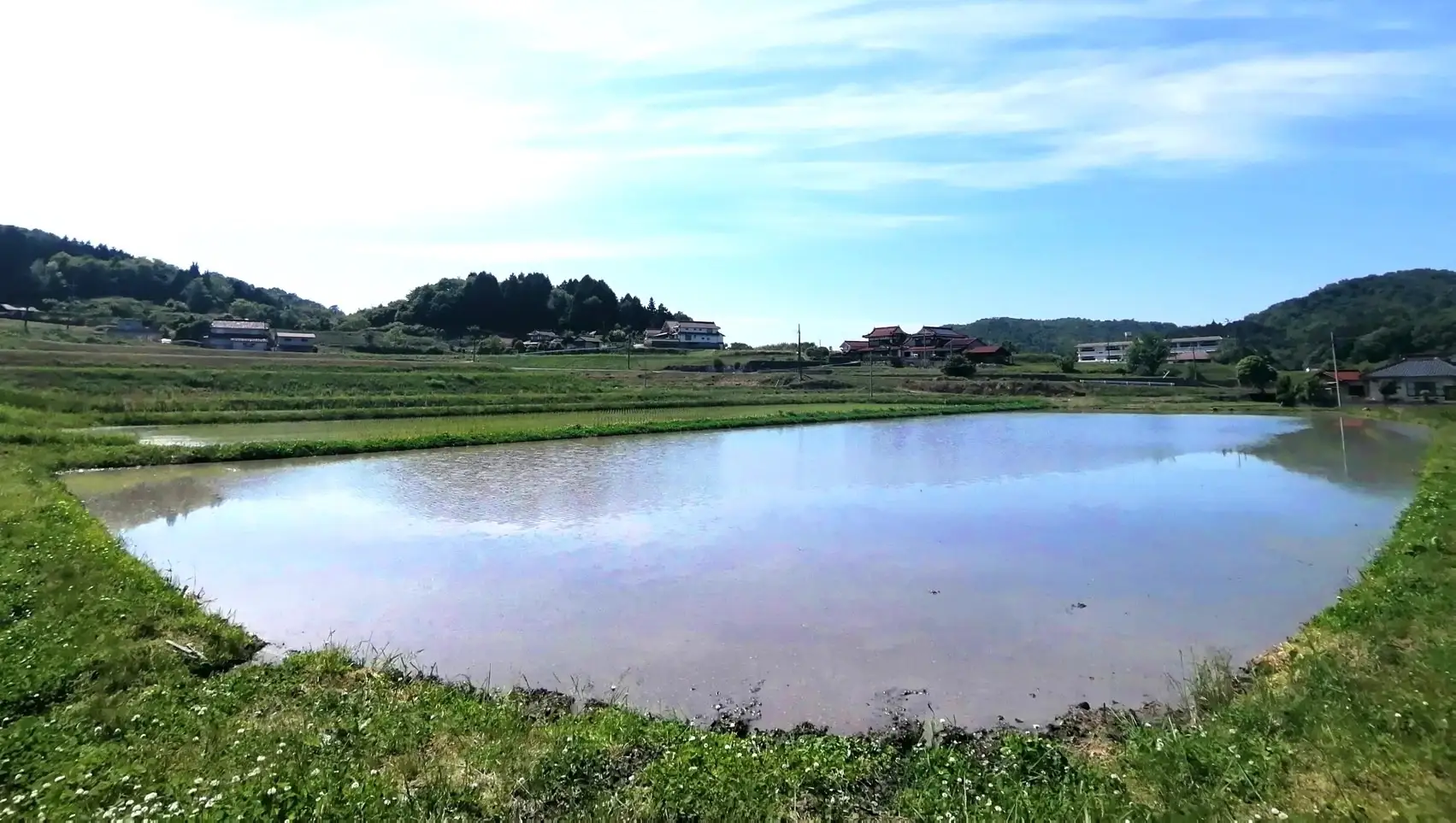 田んぼごとの味わいの違いを楽しむ次世代の日本酒「YOGANSUの酒 」。広島県三原市の「よがんす白竜」が、新酒（VT2024）4種類を7/19(土)より発売開始。