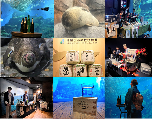 【仙台うみの杜水族館】日本酒を飲んで酒蔵を応援!宮城を代表する9つの酒蔵が集結‼『魚を肴に 日本酒ナイト水族館』【2025年8月30日(土)18:30~21:30】
