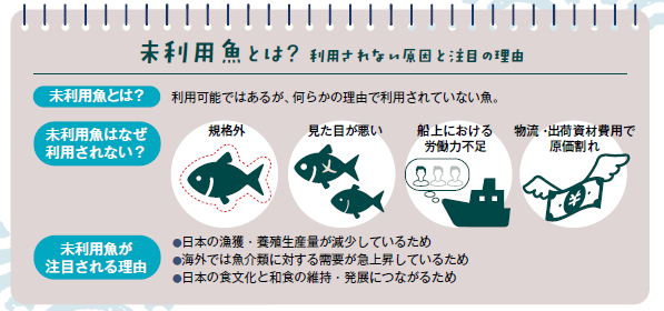 【第2弾】未利用魚×三重の地酒「サステナブルな美食体験」 7月26日(土)ホテルグリーンパーク津