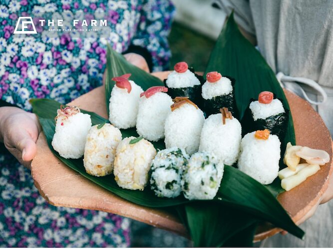 9月24日（水）旅するおむすび屋×農園リゾートTHE FARM。新米の恵みと地酒に酔いしれる一夜限りのイベントを開催