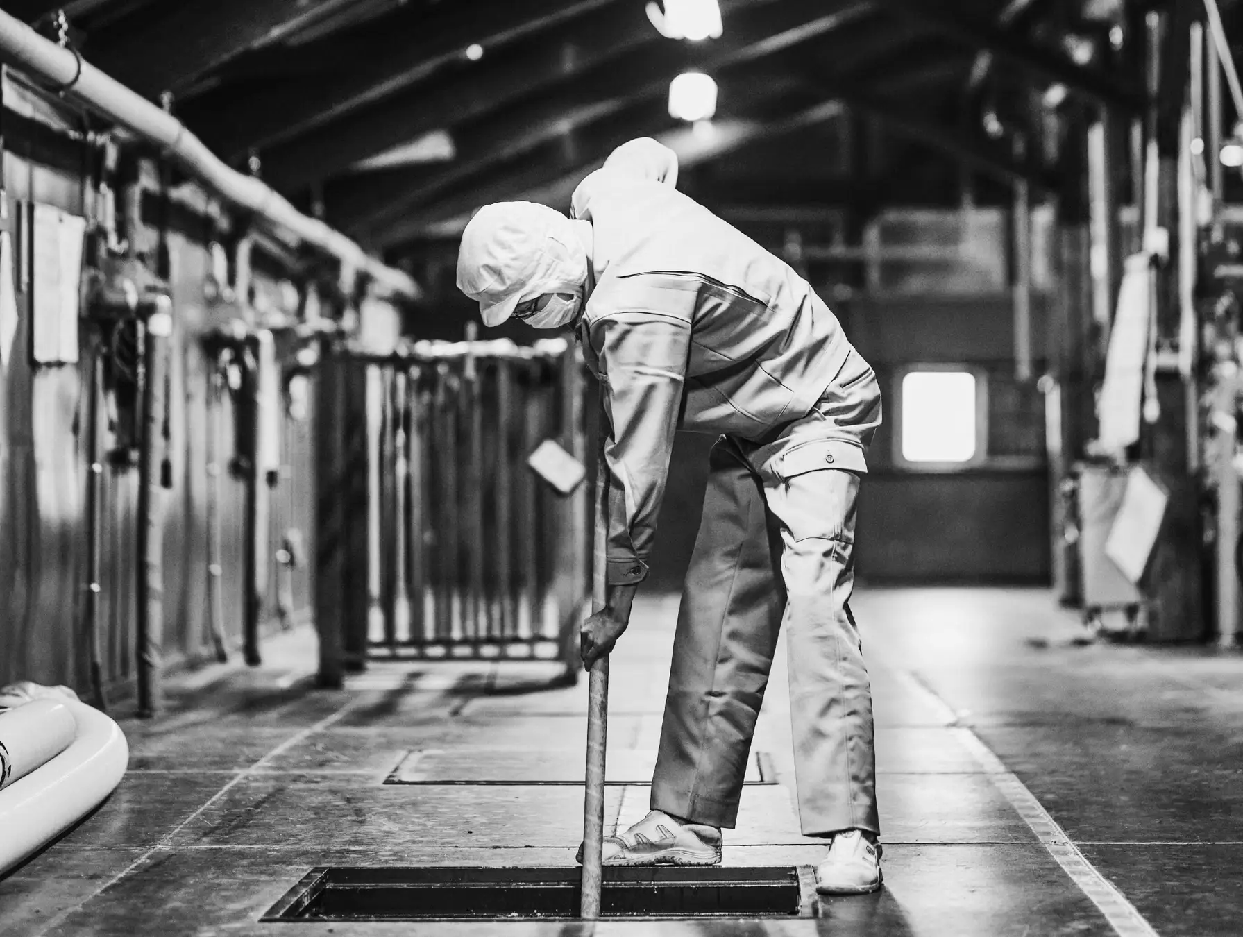 創業350年の玉乃光酒造が贈る『日本酒と共に楽しめるアート展』― TAMANOHIKARI 350×PROJECT ART EXHIBITION 2025 ―