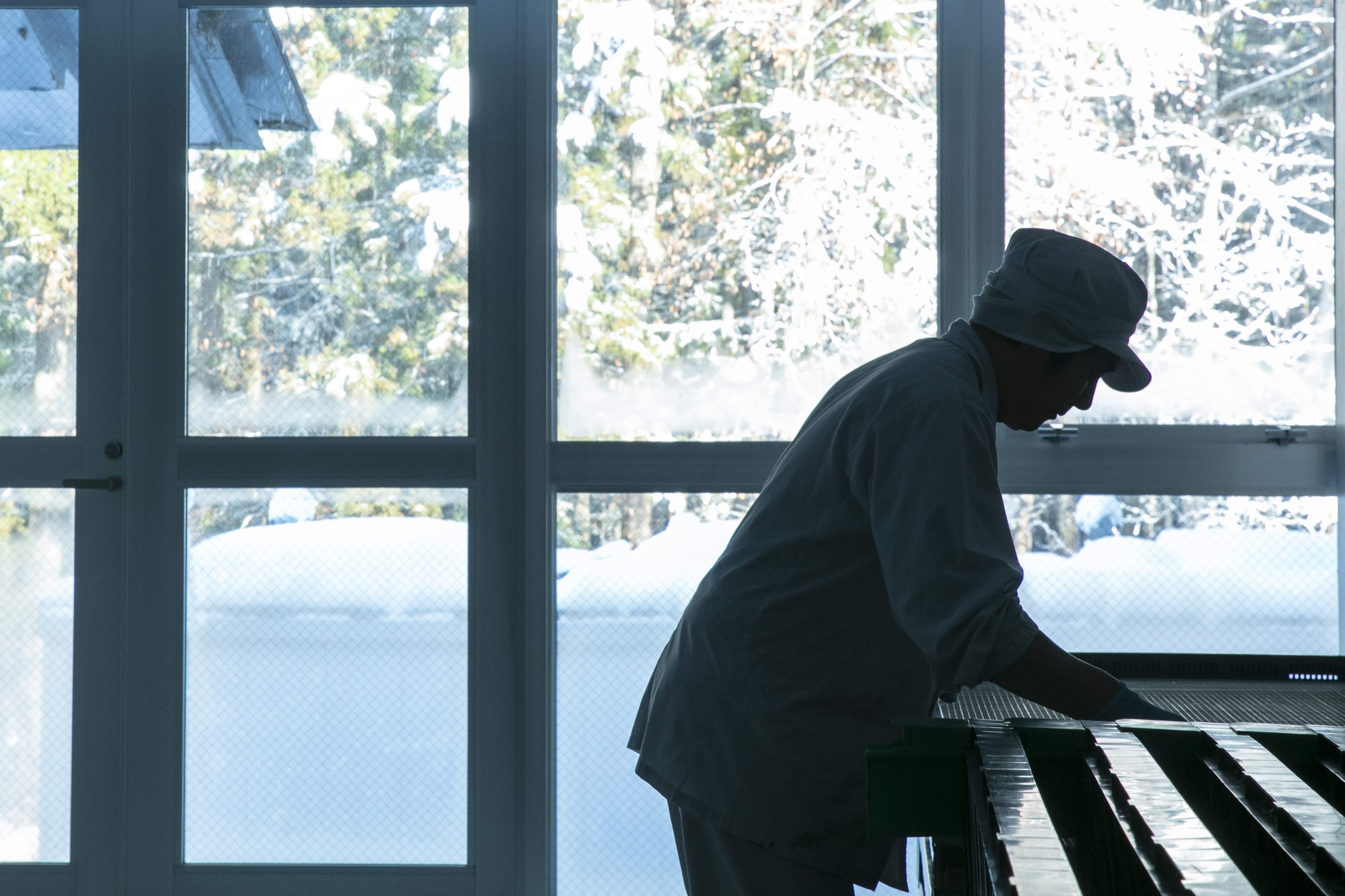 十日町市の元限界集落で育てる魚沼産コシヒカリを使った日本酒の棚田オーナー制度を開始