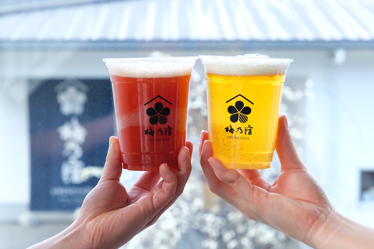 奈良の地酒蔵・梅乃宿酒造が「梅乃宿蔵開き2025」を10月25日、26日に開催