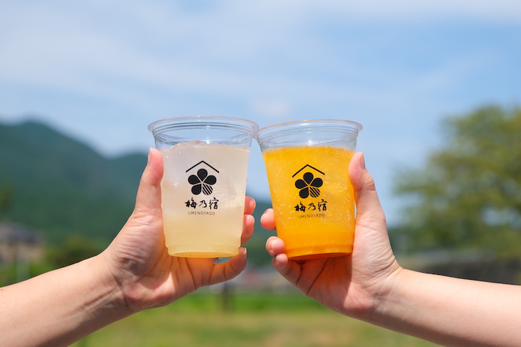 奈良の地酒蔵・梅乃宿酒造が「梅乃宿蔵開き2025」を10月25日、26日に開催