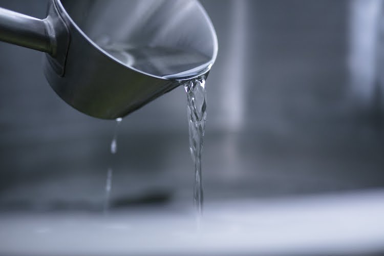 津南醸造は、赤煉瓦酒造工場で開催された「清酒製造技術セミナー」で『スマート醸造』について発表をしました