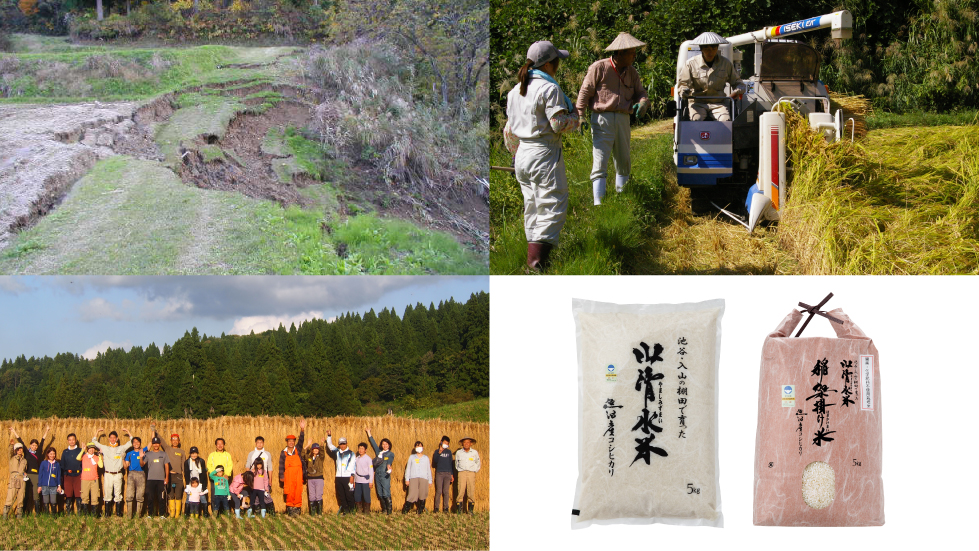 十日町市の元限界集落で育てる魚沼産コシヒカリを使った日本酒の棚田オーナー制度を開始