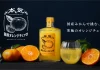 日本の酒蔵が国産素材で手掛ける「本気の国産オレンジチェッロ」を販売開始