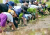 うかい×東京八王子酒造 創業の地八王子で地産の協奏! ~ 東京の地から本物の美味しい感動体験を ~