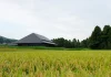 株式会社MAE、日本酒「IWA」の株式会社白岩と資本業務提携。立山の地で、米づくりから酒づくりまでを地域とともに育てる